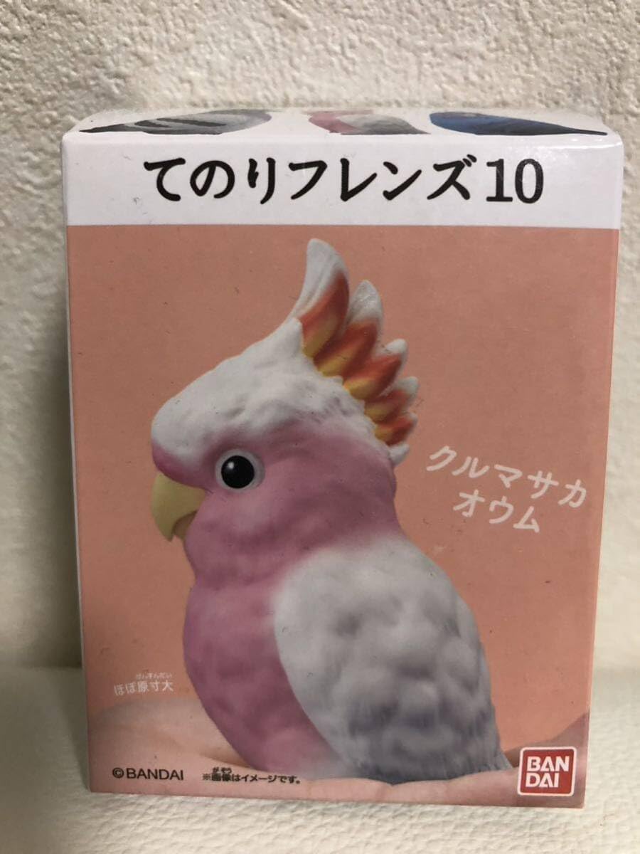 Amazon | 食玩 てのりフレンズ 10弾 クルマサカオウム